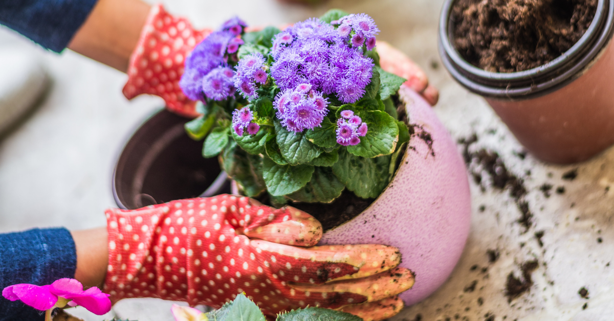 Květinový minijarmark 2026